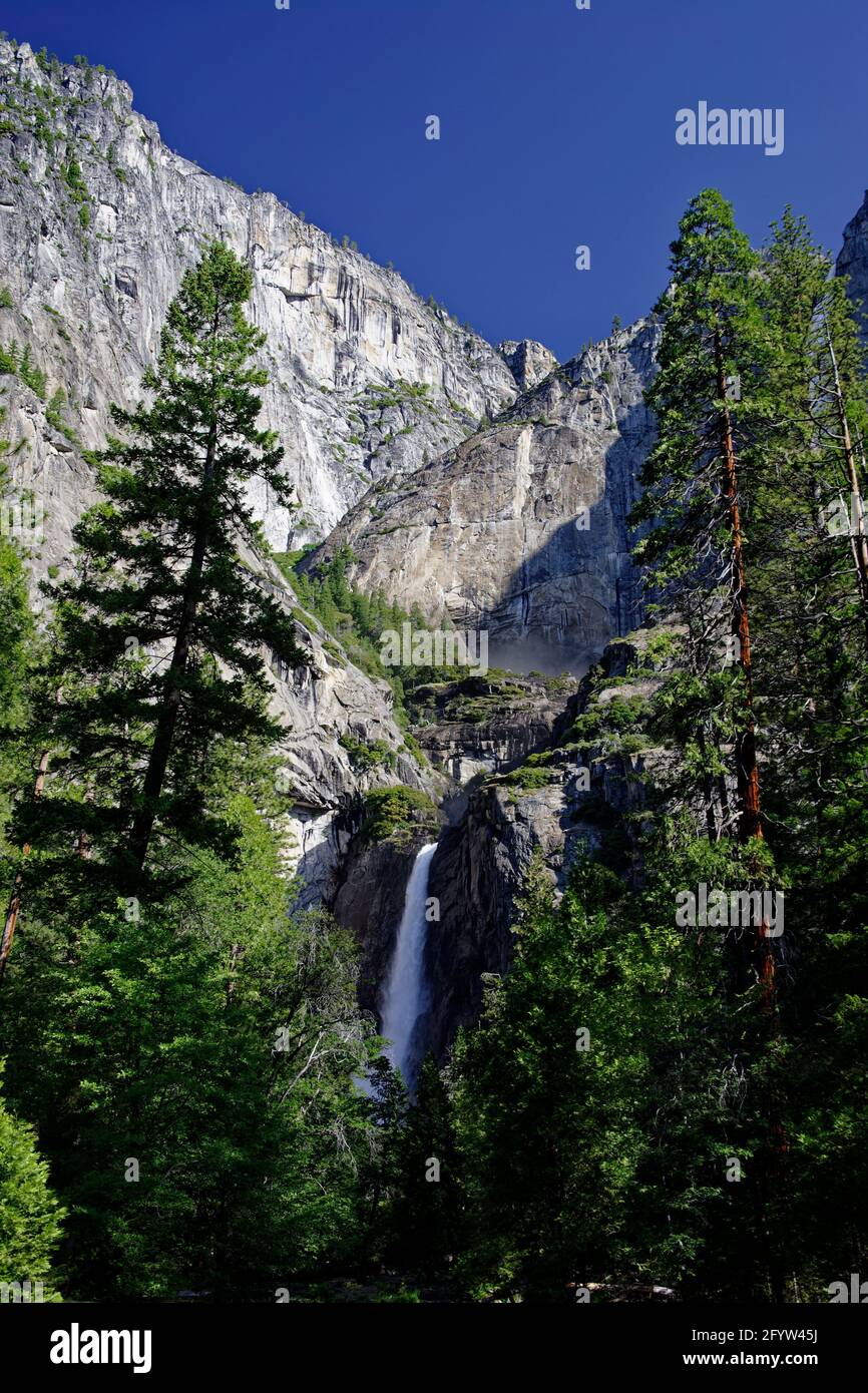 Lower Yosemite Falls Yosemite National Park California, USA LA000545 Foto Stock