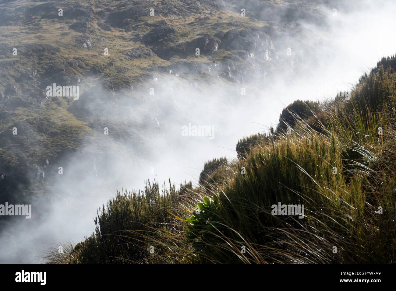 Nebbia in un burrone tra creste, Temple Basin, Arthurs Pass, Canterbury, South Island, Nuova Zelanda Foto Stock