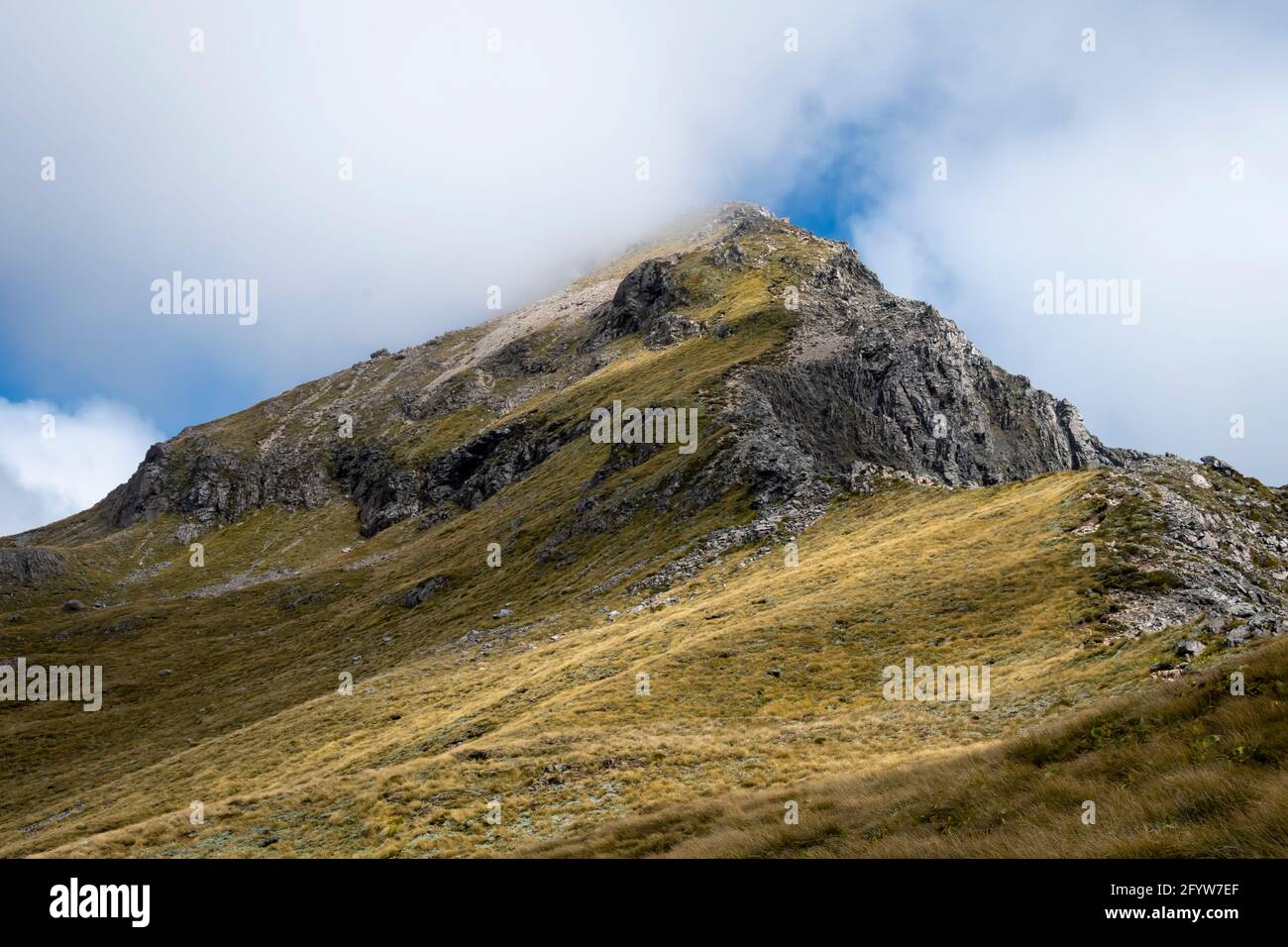 Scotts Track, che conduce al picco di Avalanche, Arthurs Pass, Canterbury, South Island, Nuova Zelanda, Foto Stock