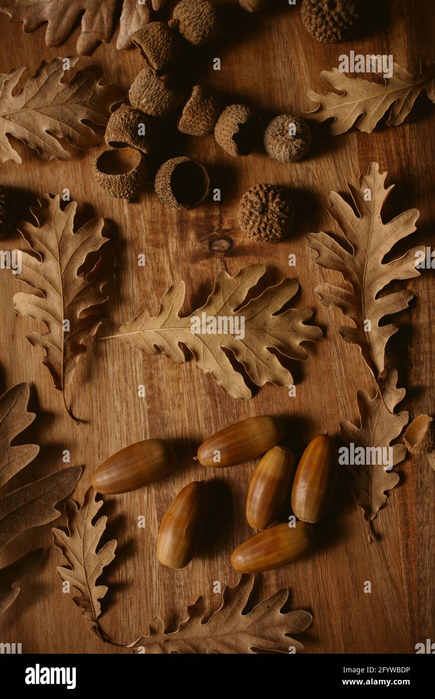 Uno sfondo autunnale verticale con foglie secche di quercia, ghiande e coppe separate su un tavolo di legno Foto Stock