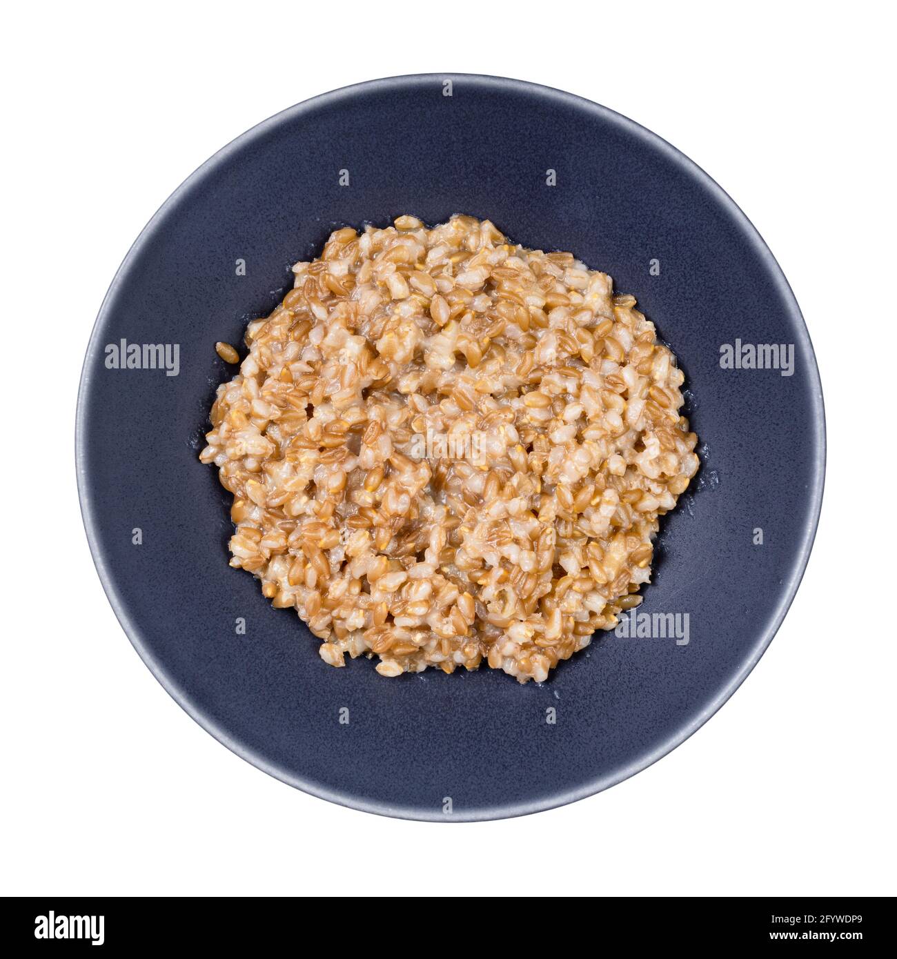 Vista dall'alto del porridge dall'Emmer farro a grani interi in grigio ciotola isolata su sfondo bianco Foto Stock