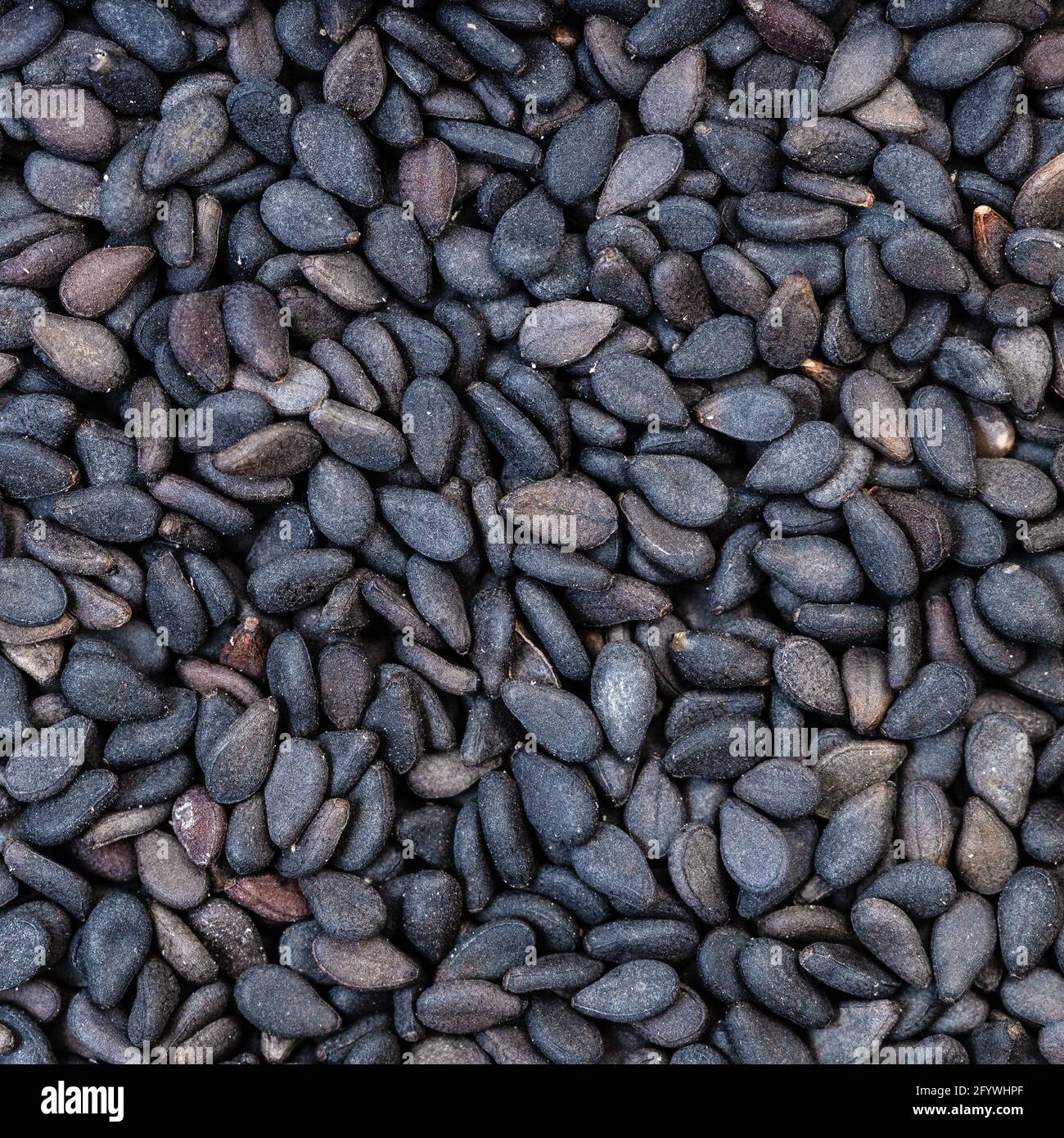 fondo di cibo quadrato - semi di sesamo nero primo piano Foto Stock