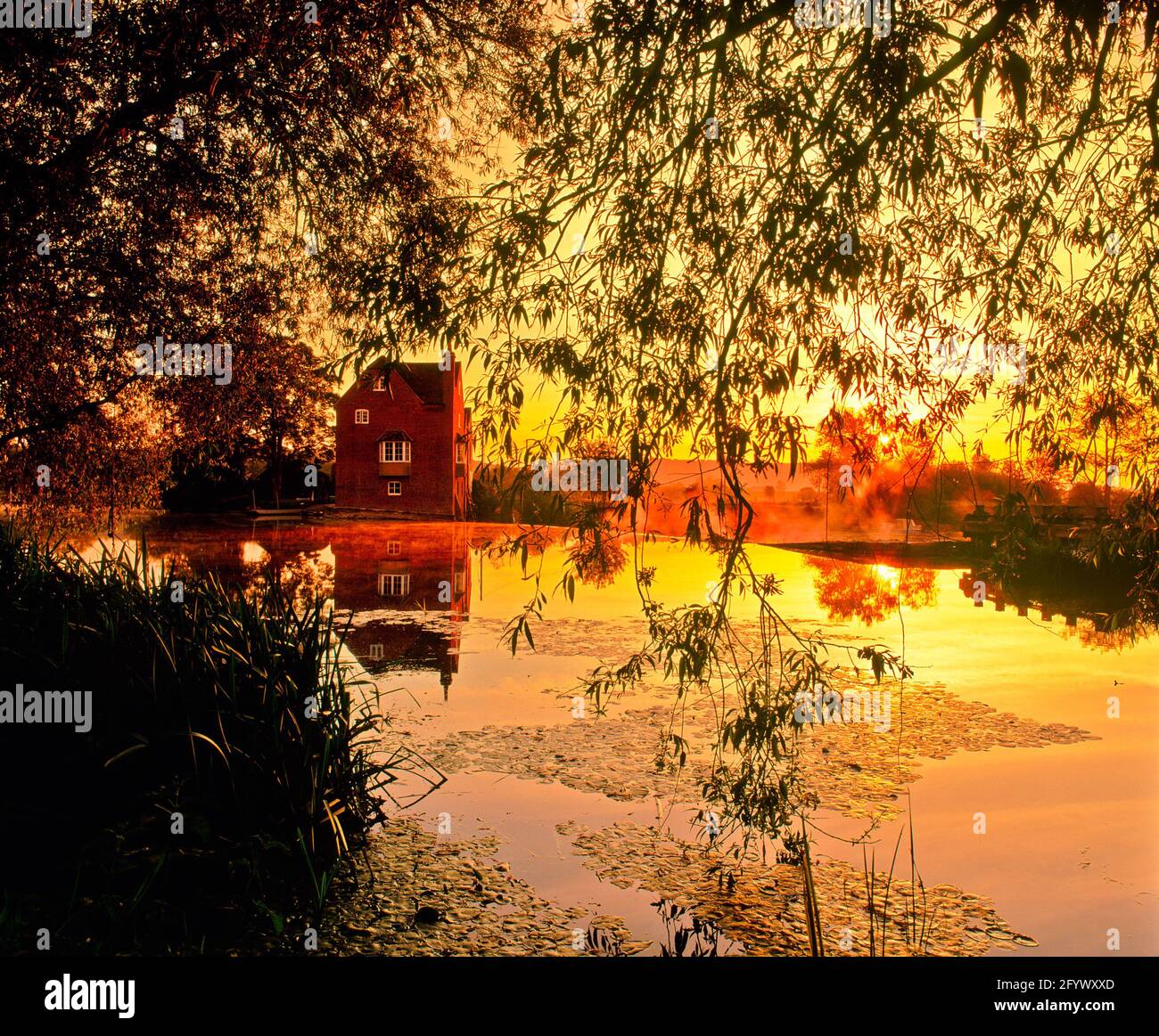 Regno Unito, Inghilterra, Hereford & Worcester, Fladbury Weir, Dawn, estate, Foto Stock
