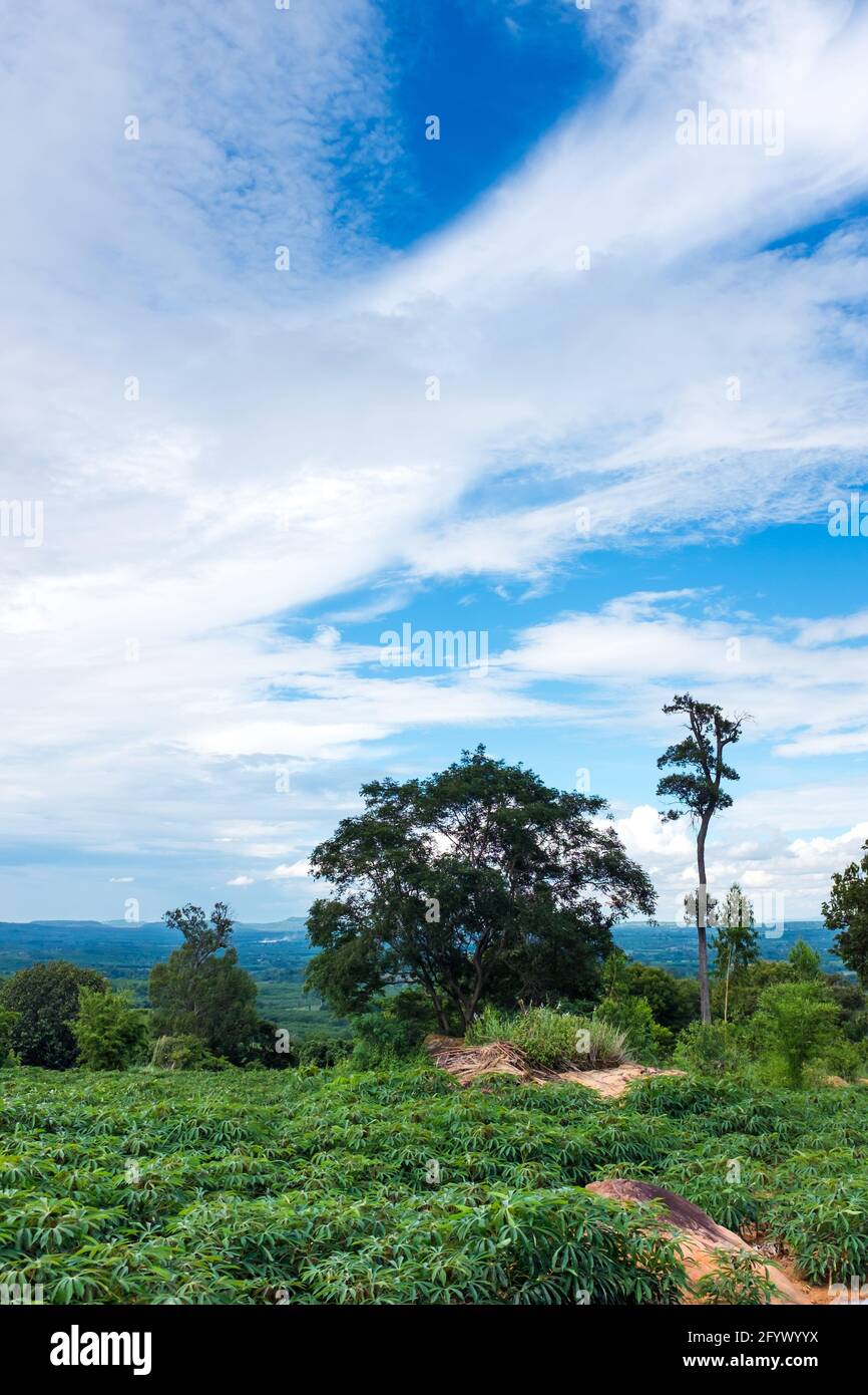 Paesaggio colorato di zona coltivata contro il cielo blu e nuvoloso su natura tranquilla. All'aperto di giorno in estate. Idilliaca vista rurale di pr Foto Stock