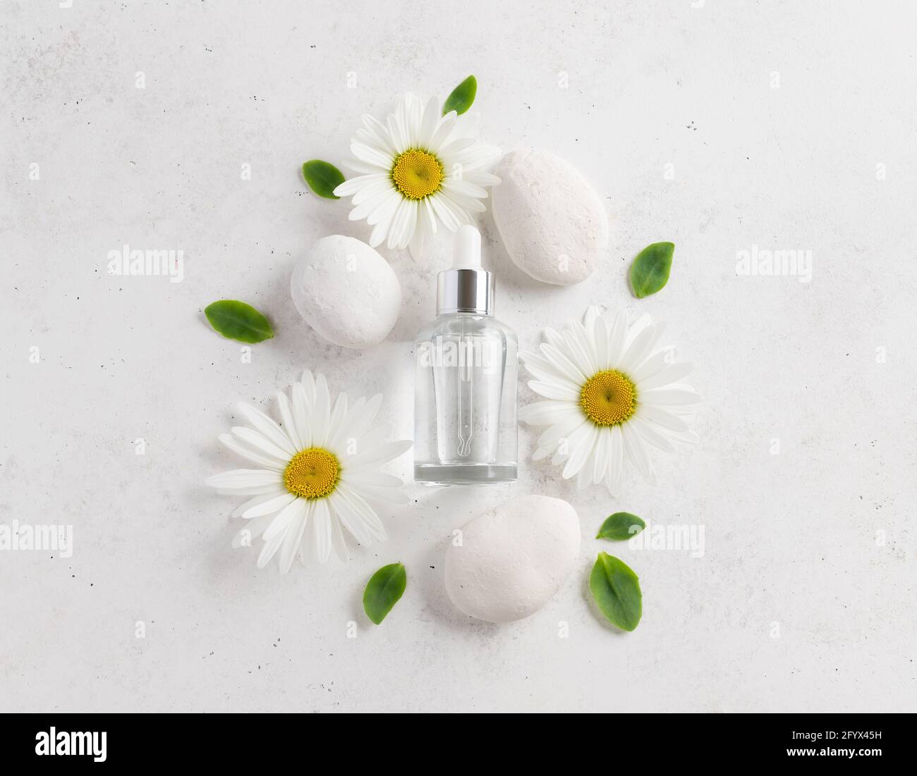 bottiglia cosmetica con siero idratante su fondo bianco con camomili bianchi, pietre e foglie verdi. prodotto per la cura della pelle di bellezza biologica. Branding Foto Stock