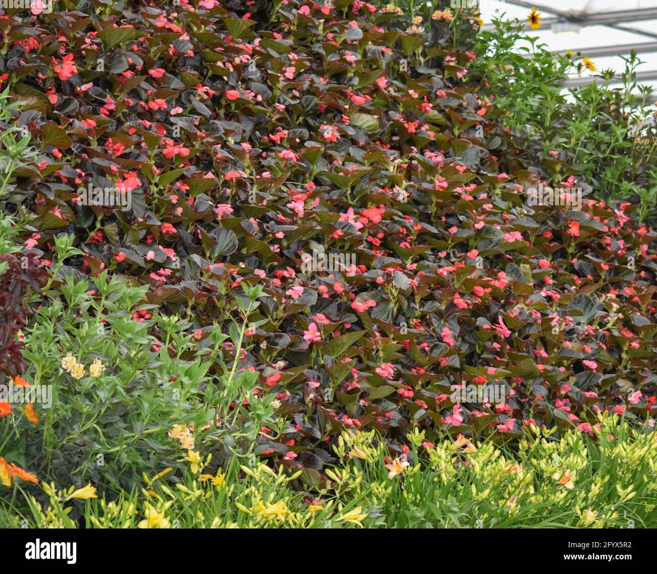 Lo spettacolo Good Food e il Giardinaggio Foto Stock