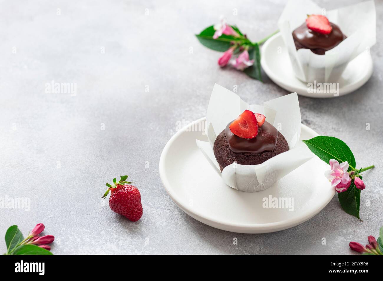 due muffin al cioccolato con sciroppo di cioccolato e decorato con fragole fresche. pasticceria per colazione o dessert. fondo in cemento grigio con posto Foto Stock