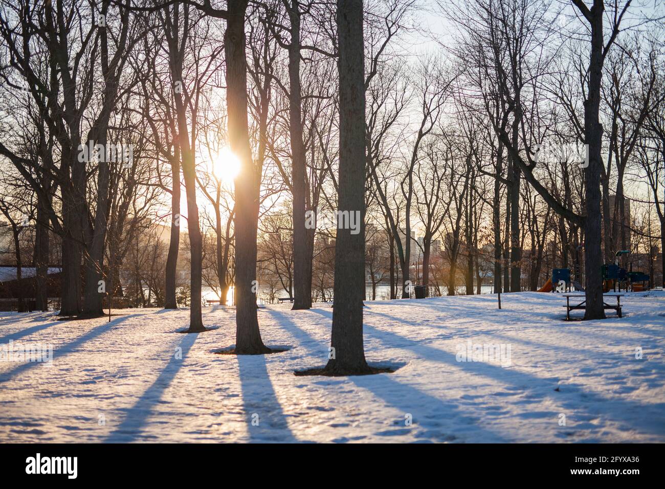 Parco sulla ile st helene durante l'inverno, Montreal, Quebec, Canada Foto Stock