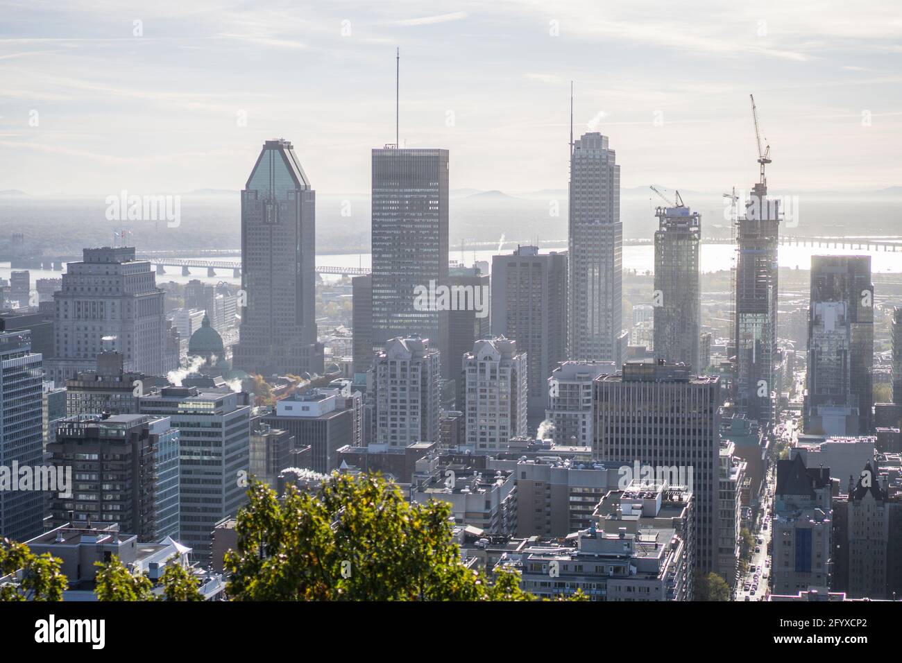 Città canadese durante l'alba del giorno d'estate, Montreal, Quebec, Canada Foto Stock