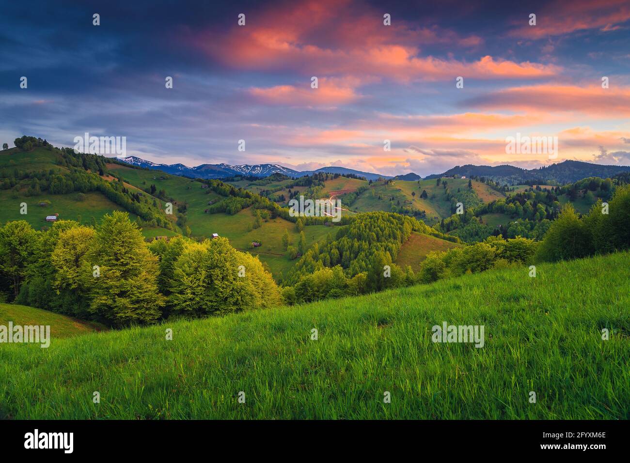 Paesaggio di campagna mozzafiato con campi verdi e capanne di legno sulle ripide pendii al tramonto, Moieciu de Jos, Romania, Europa Foto Stock