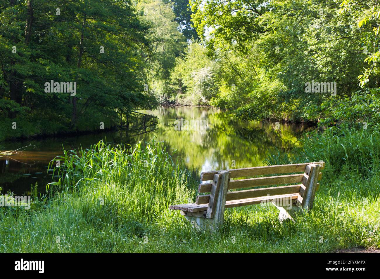 Impressionen aus Meppen/ Emsland: Banca in der Sonne am alten Emslarm Foto Stock