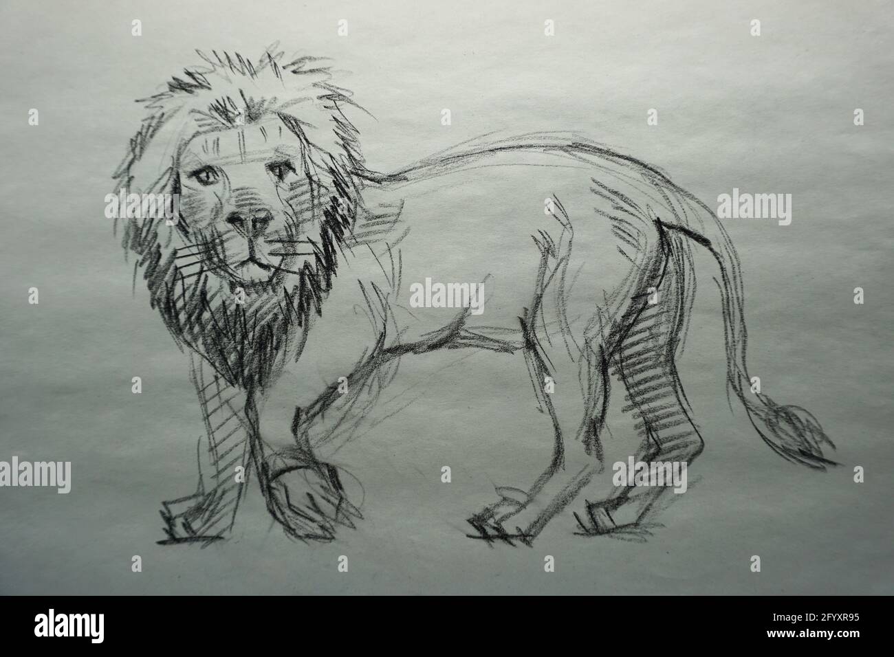 Disegno d'arte tratto , leone di sfondo Foto Stock