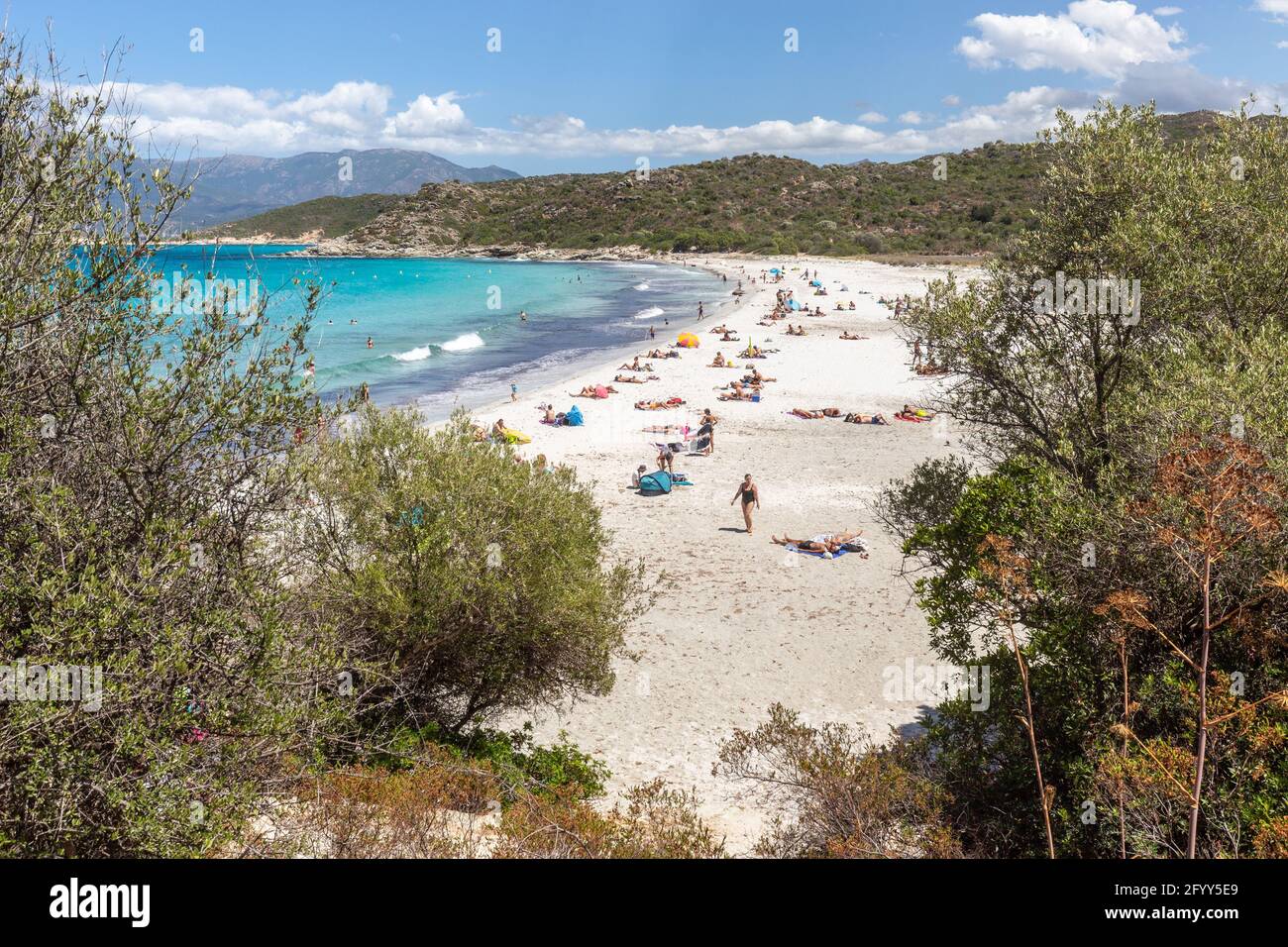 Spiaggia di Lotu, Haute-Corse, ai margini del deserto degli Agriates. Corsica, Francia Foto Stock