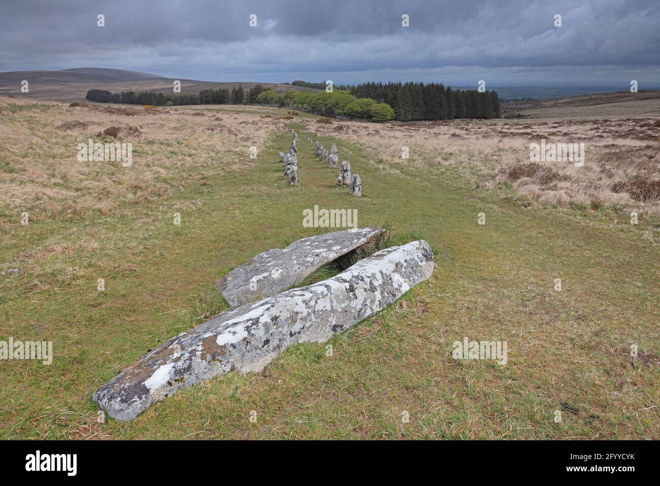 File di pietra su Shovel Down Dartmoor UK Foto Stock