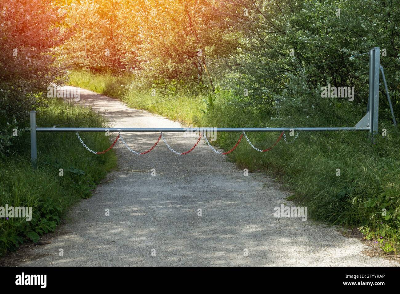 recinzione che blocca una strada forestale con i raggi del sole dentro lo sfondo che illumina gli alberi e i cespugli in estate giorno e fuoco selettivo Foto Stock