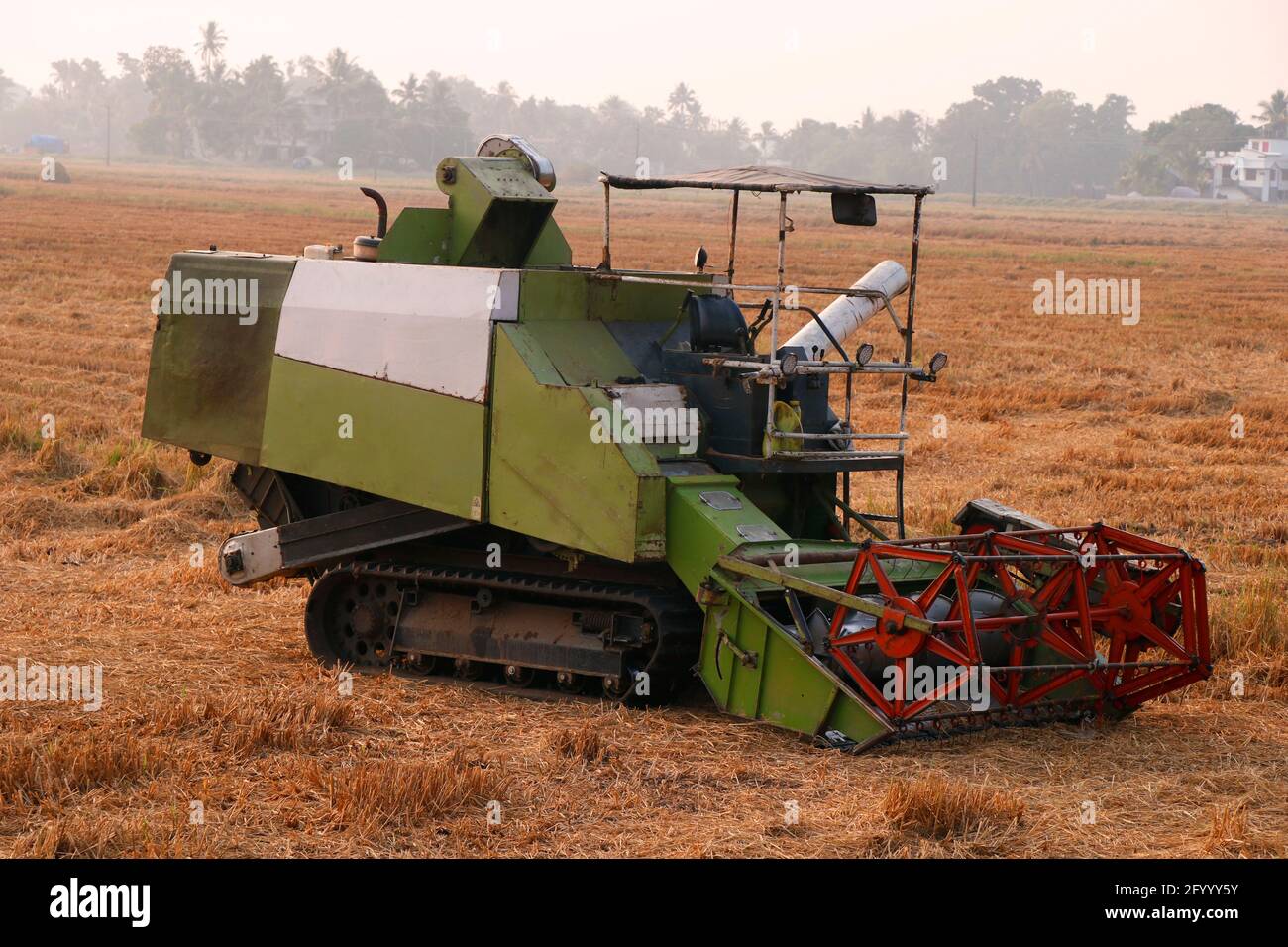 macchina per la raccolta del riso in un campo di risaie Foto Stock