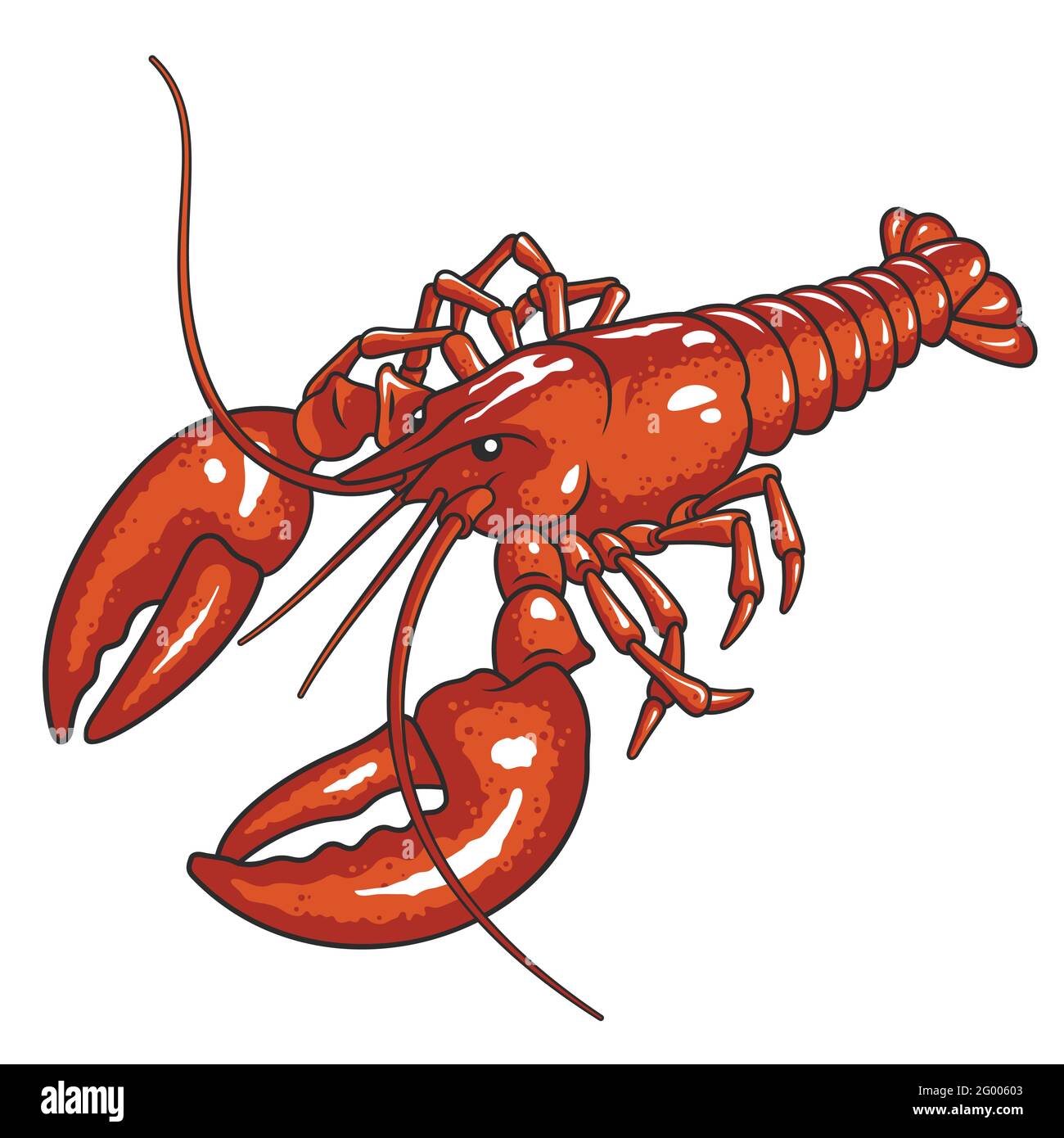 Illustrazione vettoriale dell'aragosta rossa Illustrazione Vettoriale