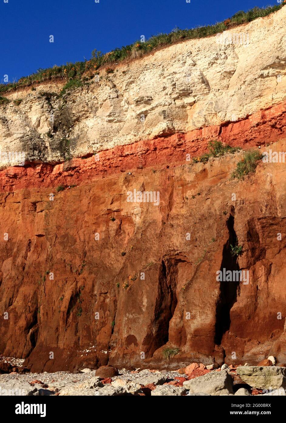 Geologia, Cretaceo, sedimentario, rock, formazione, Hunstanton Cliffs, Norfolk, Inghilterra, Regno Unito 3 Foto Stock