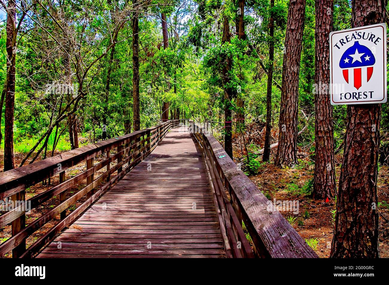 Una passerella si snoda attraverso la foresta montana designata come Alabama Treasure Forest dalla Alabama Forestry Commission a Weeks Bay Reserve, 27 maggio 2021 Foto Stock