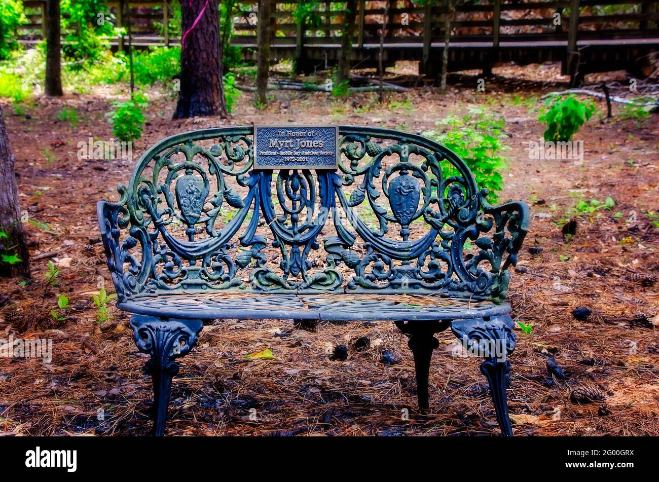 Una panchina da giardino in ferro battuto è dedicata a Myrt Jones, presidente della Mobile Bay Audubon Society, ar Weeks Bay Reserve a Fairhope, Alabama. Foto Stock