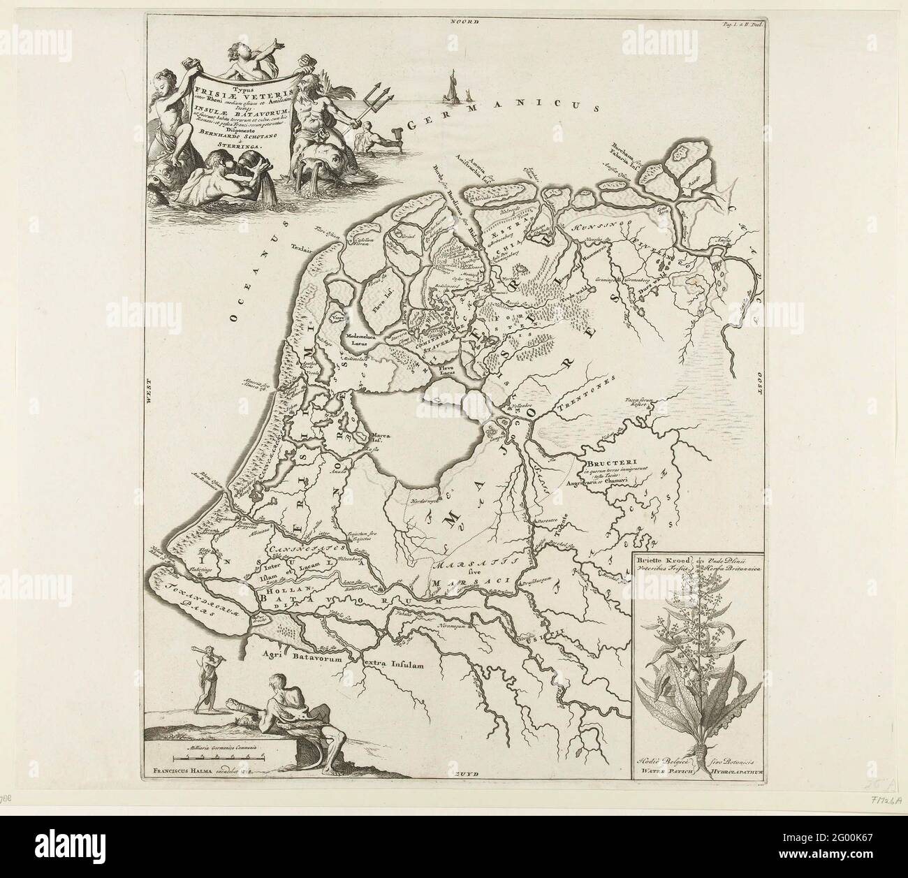 Mappa storica dei Paesi Bassi con le aree di Batava e Frisiani; tipo Frisiae Veteris (...) Insulae Batavorum. Mappa delle aree Frisone e Batavia. In basso a destra di una cartouche con una rappresentazione di una pianta. Parte di 16 mappe del paese e dei Frisi prima fabbricati e inclusi in M. Alting, Descriptio ANT. Agri Batavi et Frisii, s. Notitia Germ. Infer., 2 parti, 1697-1700. Riutilizzato in F. Halma, fase dei Paesi Bassi Uniti e paesaggi dipendenti, un dizionario generale storico, genealogico, geografico e politico, 2 parti, 1725. Di conseguenza Foto Stock