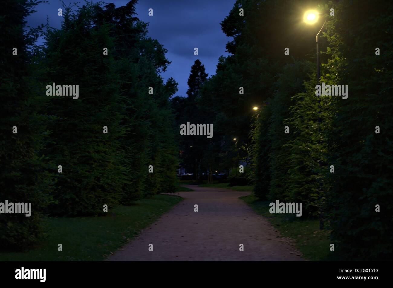 Sentiero illuminato dal sole immagini e fotografie stock ad alta ...