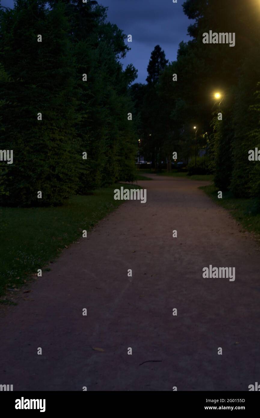 Sentiero illuminato dal sole immagini e fotografie stock ad alta ...
