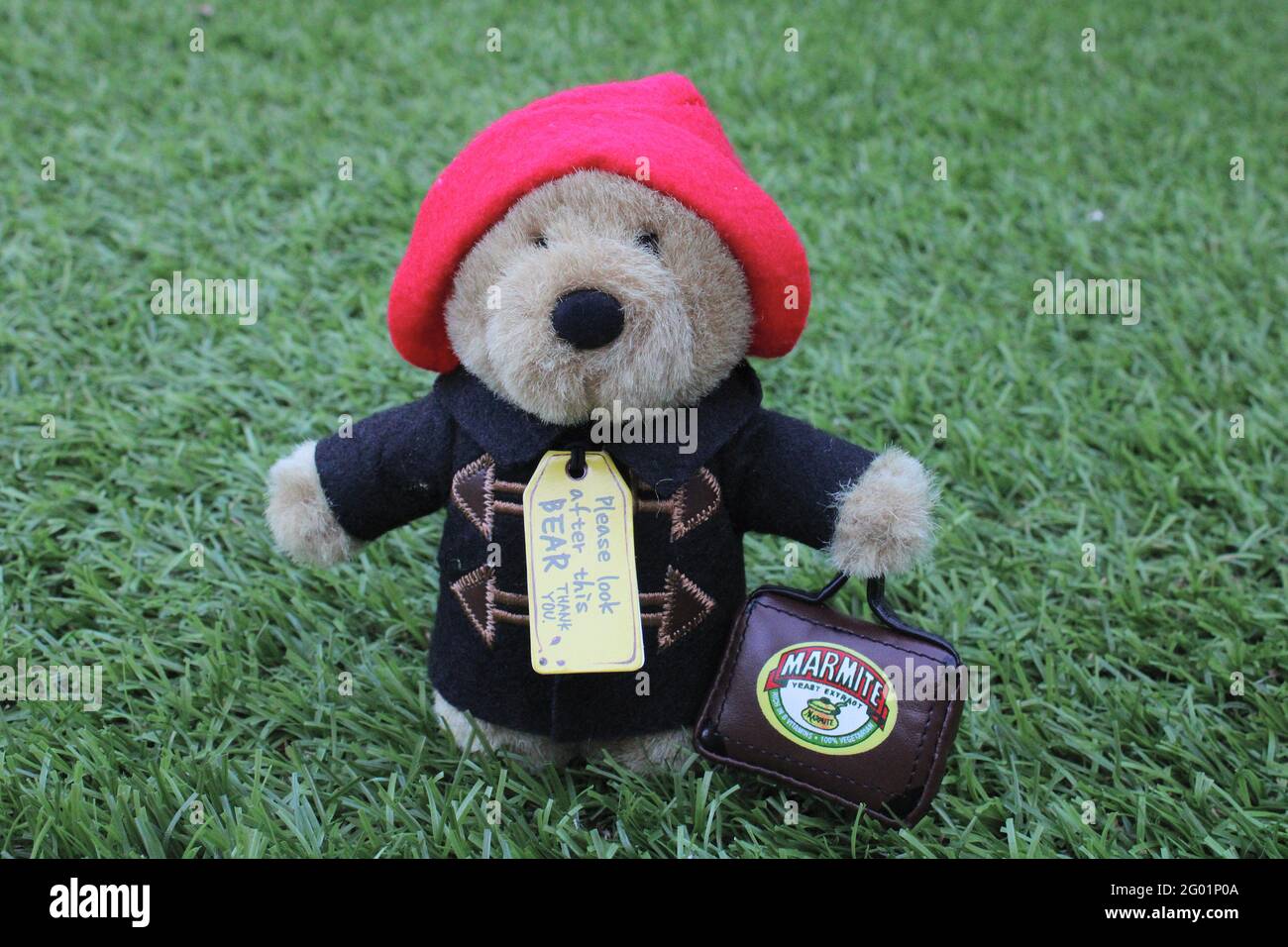 L'orso di Paddington tiene una valigia di Marmite isolata su un verde sfondo Foto Stock