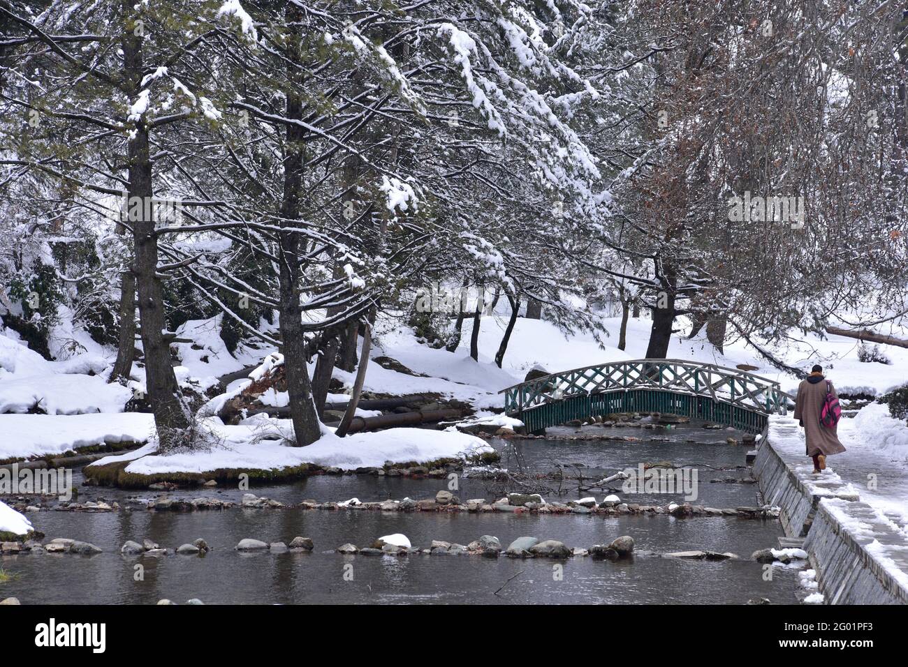 Vista invernale delle sorgenti di Kokernag e del giardino botanico, Kashmir. Preso durante il duro periodo invernale di chilla Kalan, nel gennaio 2021. Questa alimentazione a molla Foto Stock