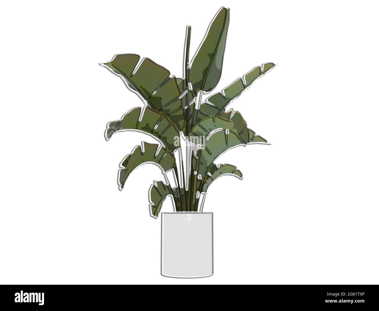 Fogliame, palma di banana in una pentola di ceramica bianca con foglie incrinate, vista frontale, stile marcatore, 3D Foto Stock