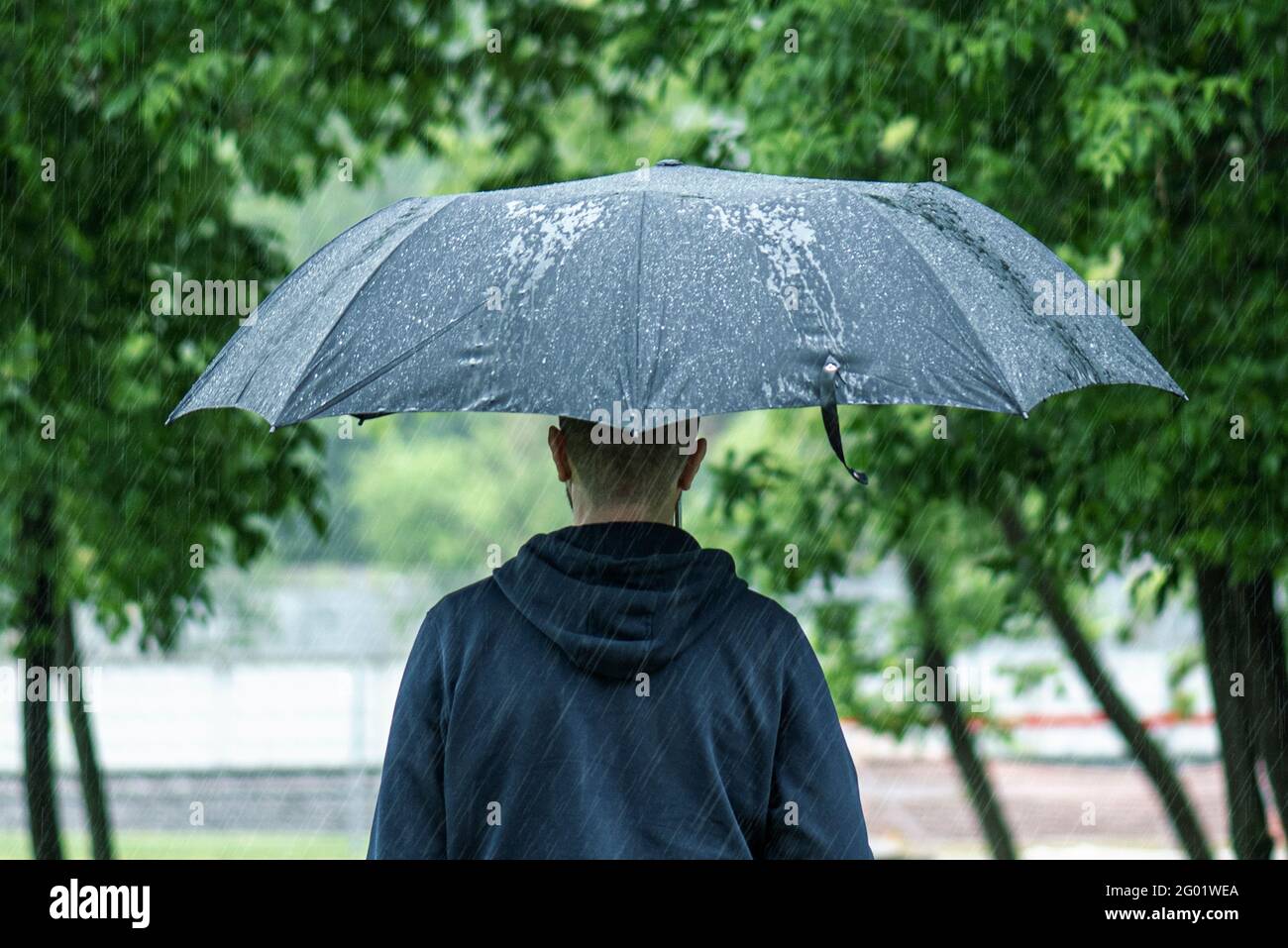 Uomo da solo che cammina con ombrello nero durante la pioggia estiva  intensa in una giornata di pioggia in un parco della città, immagine meteo  concettuale Foto stock - Alamy