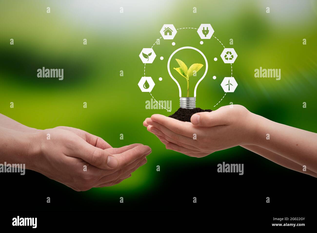 Concetto di fonti energetiche sostenibili con lampadina e impianto Foto Stock
