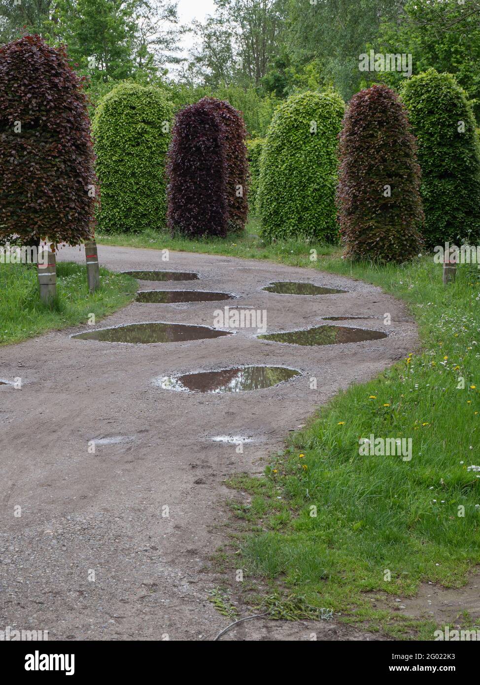Fangosa strada di campagna con buche piene di acqua piovana Foto Stock