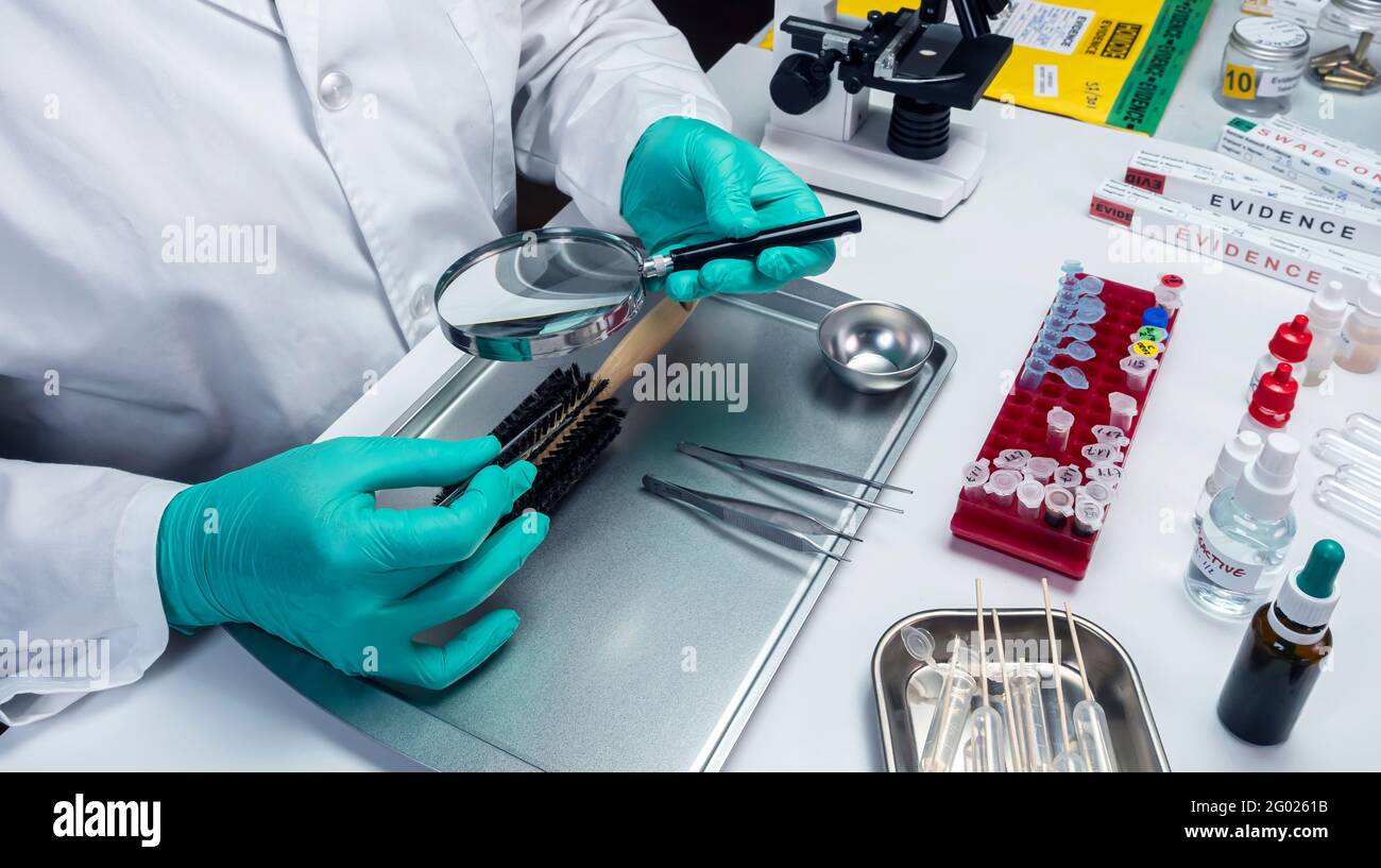Polizia specializzata prendere capelli pettini per prendere il DNA dalla vittima di omicidio, immagine concettuale Foto Stock