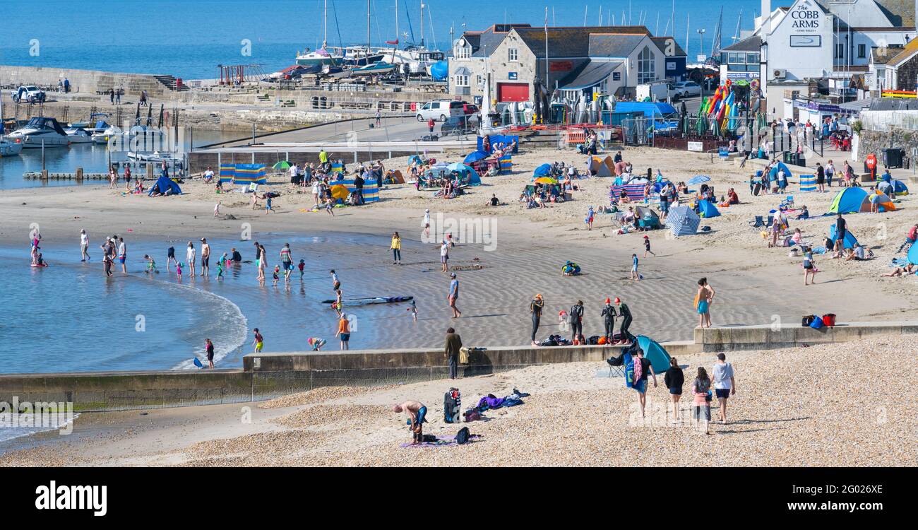Lyme Regis, Dorset, Regno Unito. 31 maggio 2021. UK Weather: Lyme Regis si sveglia fino ad un altro giorno di glorioso sole caldo e cielo blu chiaro sulla festa della Banca Lunedi. La bella spiaggia si riempiva già alle 9:00, dato che gli amanti del sole arrivavano presto e si assicuravano un buon posto sulla famosa spiaggia. Credit: Celia McMahon/Alamy Live News Foto Stock