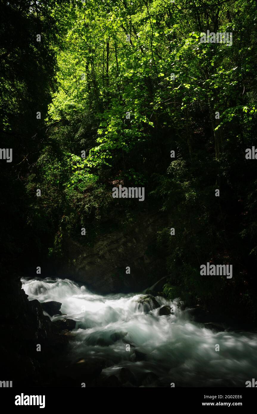 Fonte di Adou del Bastareny e dintorni in primavera (Berguedà, Catalogna, Spagna, Pirenei) ESP: Surgencia de la Dou del Bastareny y entornos Foto Stock