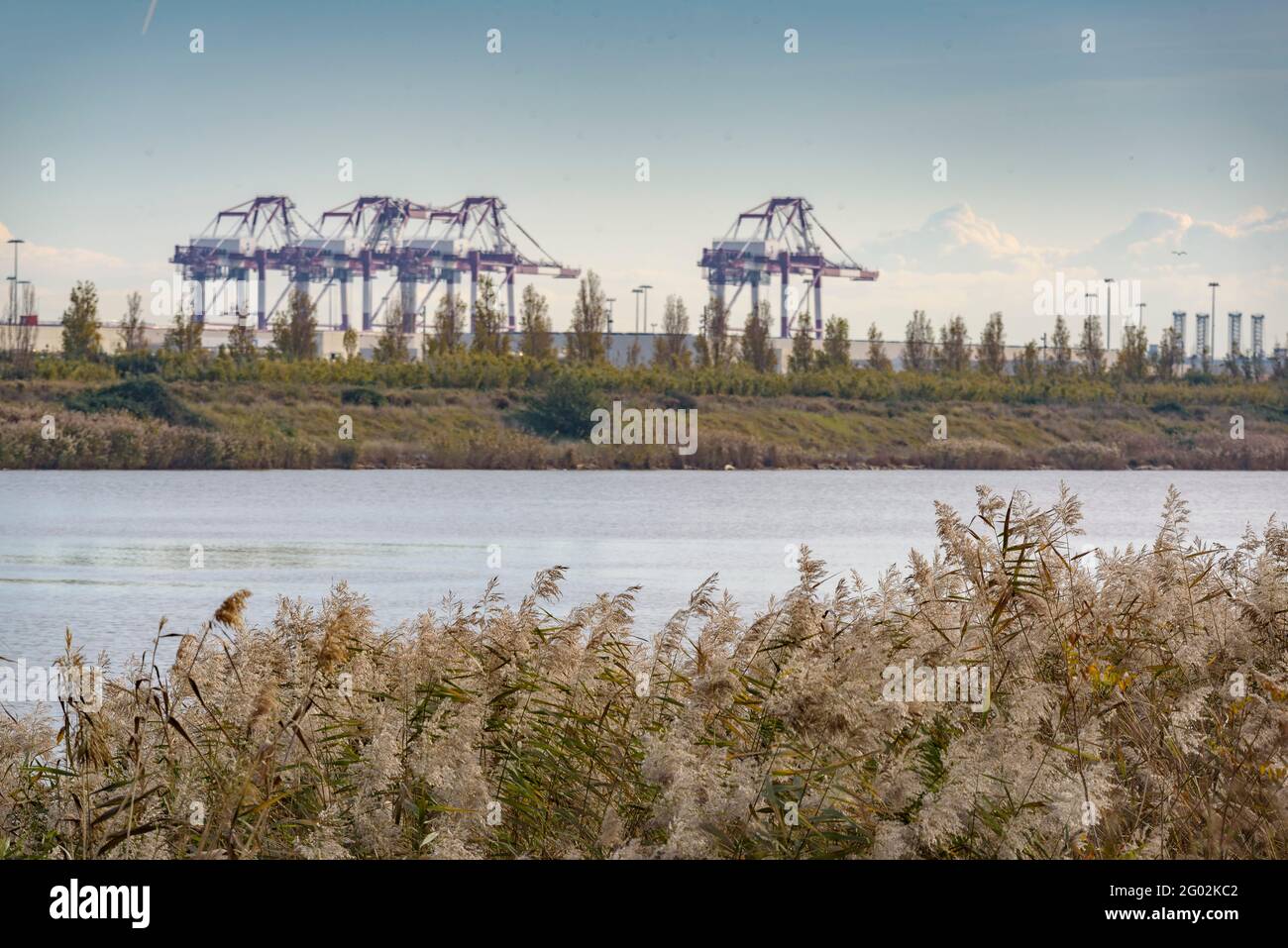 Llobregat Delta Natural Area vicino all'aeroporto e al porto di Barcellona (Catalogna, Spagna) ESP: Espacio Natural del Delta del Llobregat, Barcellona Foto Stock