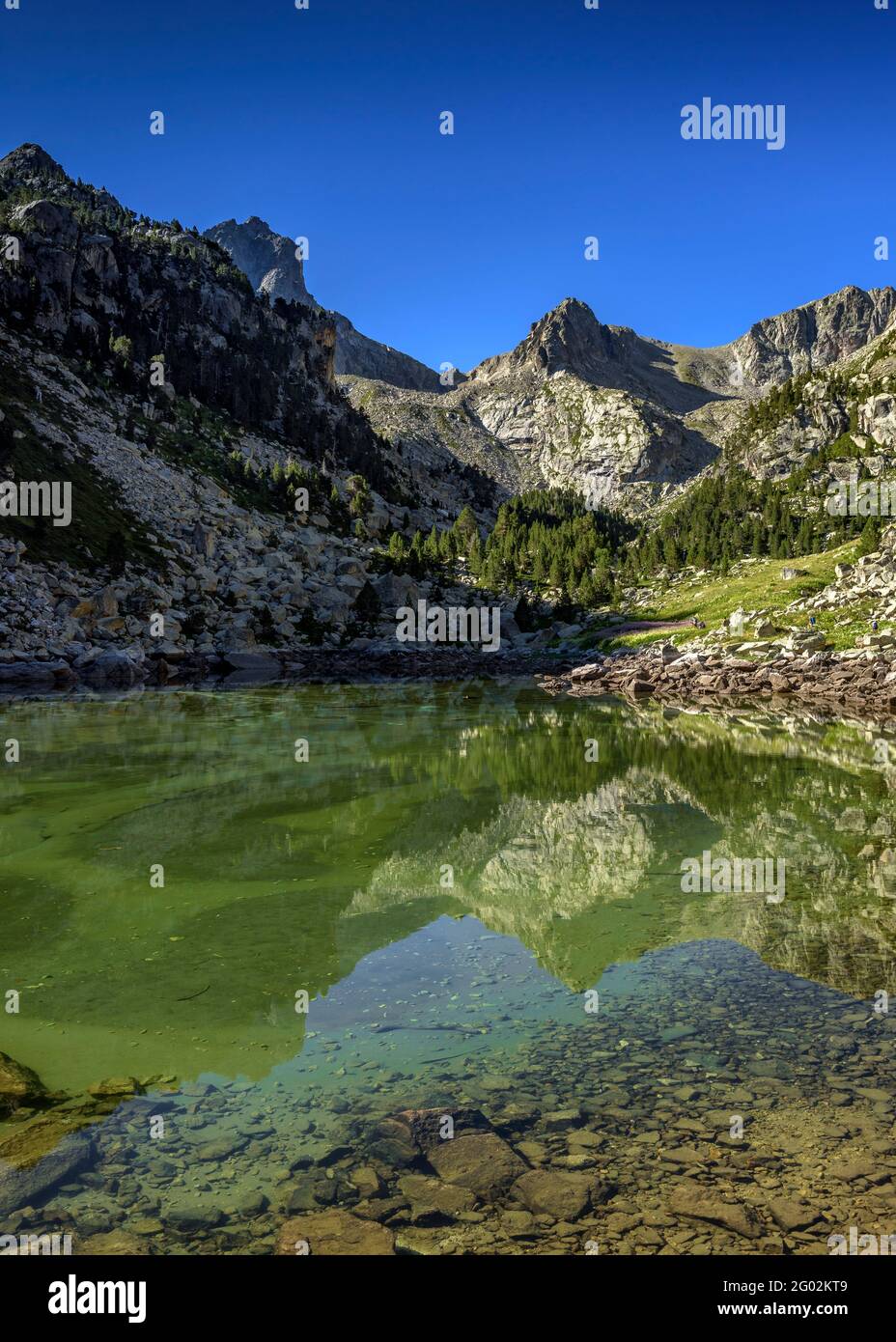 Lago di Monestero (Aigüestortes i Estany de Sant Maurici Parco Nazionale, Pirinei, Catalogna, Spagna) ESP: Lago Estany de Monestero (PN Sant Maurici) Foto Stock