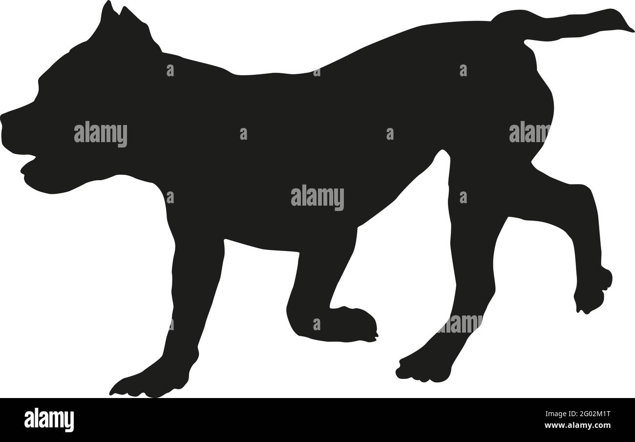 Silhouette nera per cani. Running americano puppy bullo. Animali domestici. Isolato su sfondo bianco. Illustrazione vettoriale. Illustrazione Vettoriale