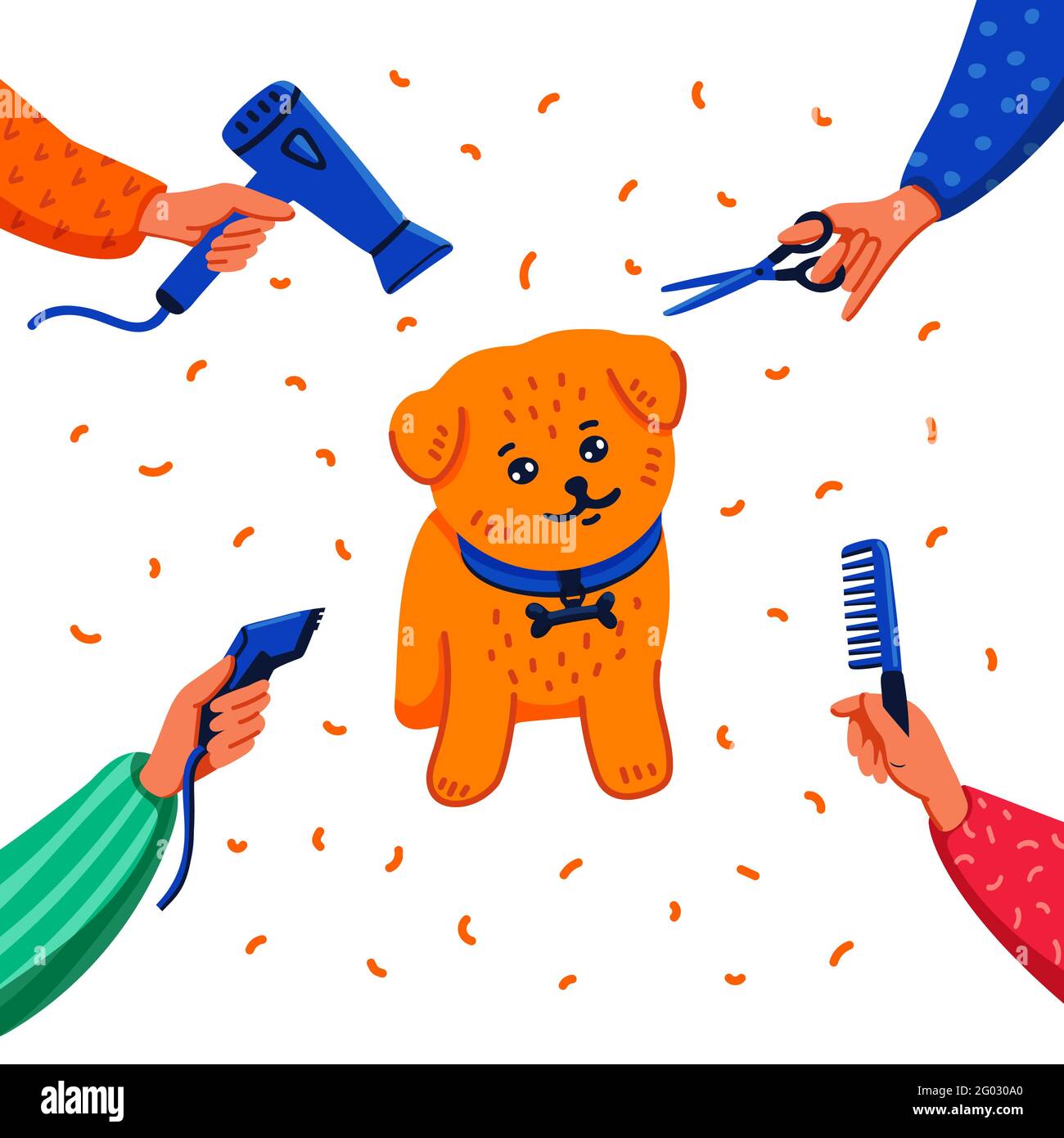 Concetto di cura degli animali domestici. Con un pettine, un asciugacapelli, forbici e un regolacapelli su sfondo bianco, il lap-dog e le mani sono felici. Cura del cane, cura del corpo, igiene Illustrazione Vettoriale