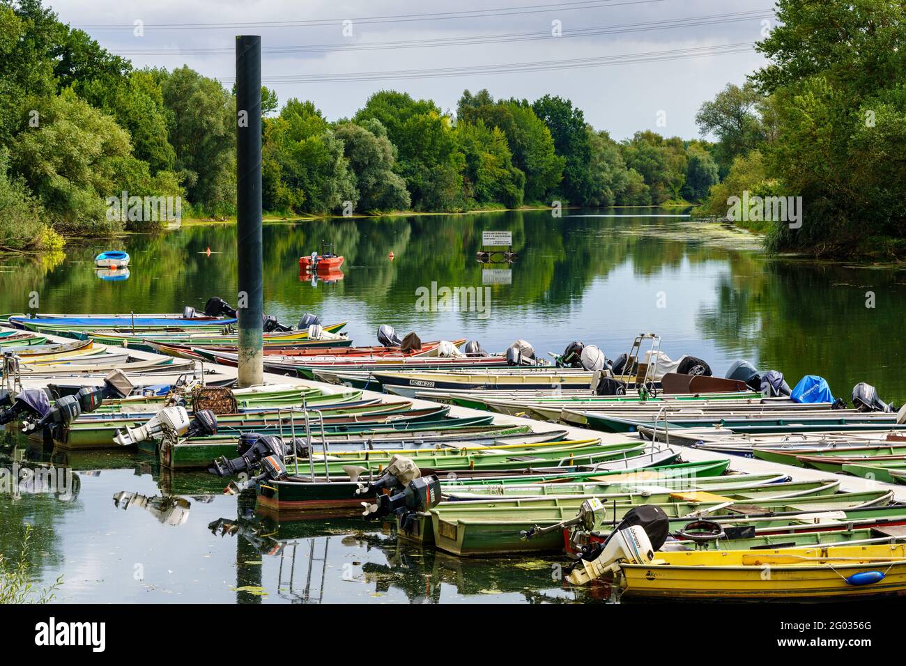 Ginsheim, Assia, Germania - 17 agosto 2020: Barche nel porto turistico sul meandro del fiume Reno Foto Stock