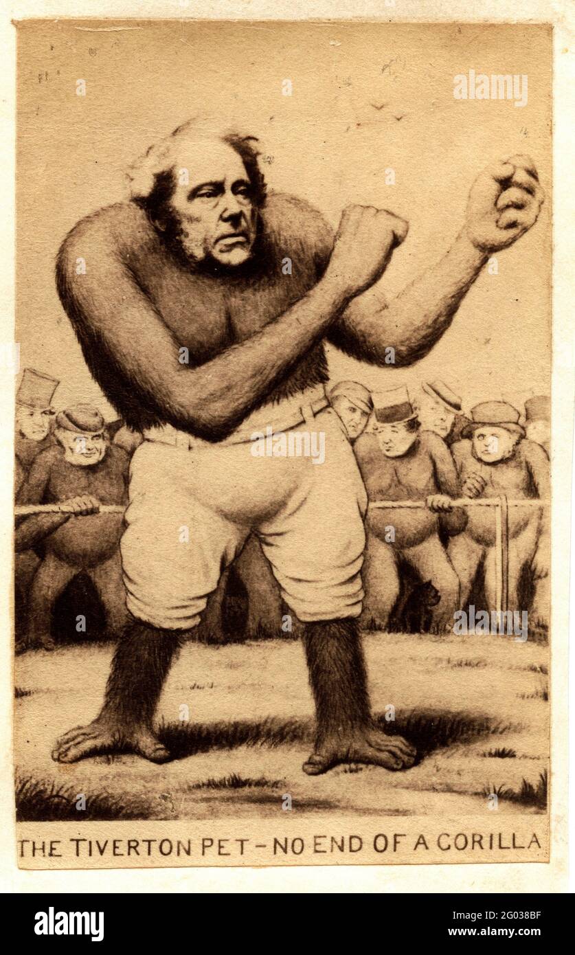 La caricatura del politico inglese, produttore e sostenitore del libero scambio Richard Cobden (1804 - 1865) ha intitolato "The Tiverton PET, No End of a Gorilla", 1860. Foto Stock