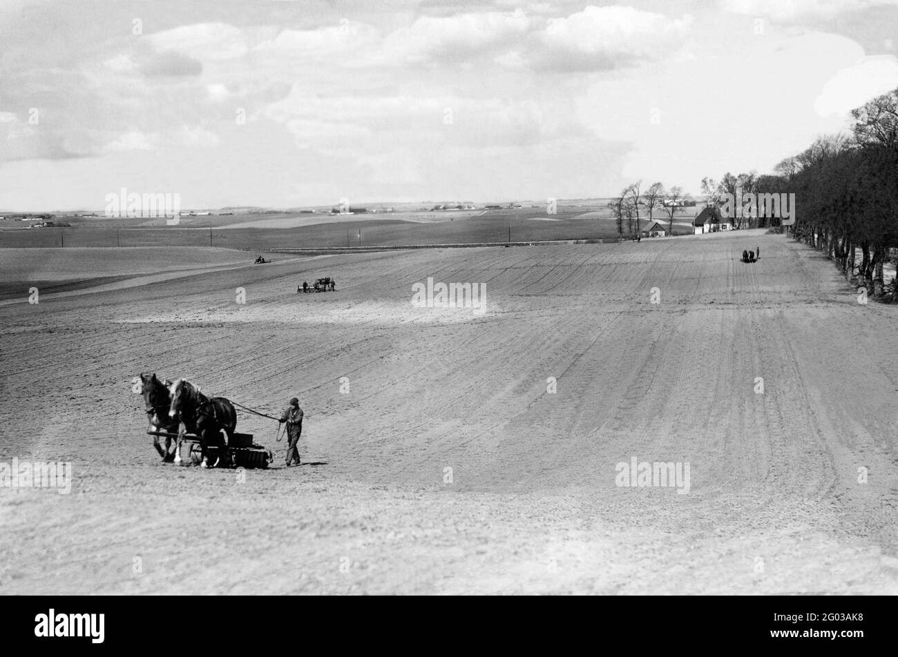 L'agricoltore lascia che i campi rotolano sopra prima di seminare dentro la molla Foto Stock