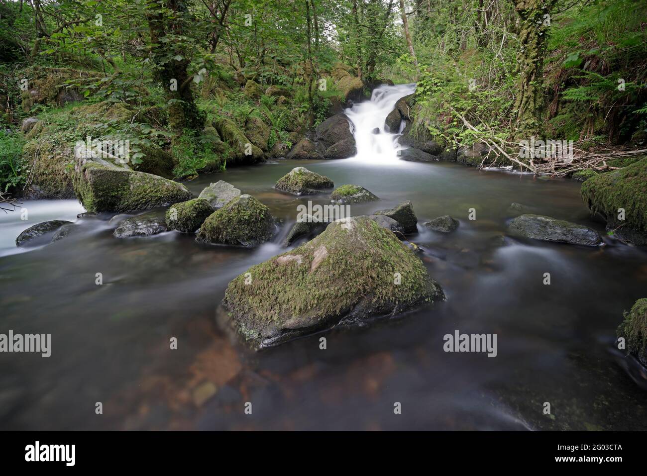 Cascata in primavera sul Colly Brook Dartmoor UK Foto Stock