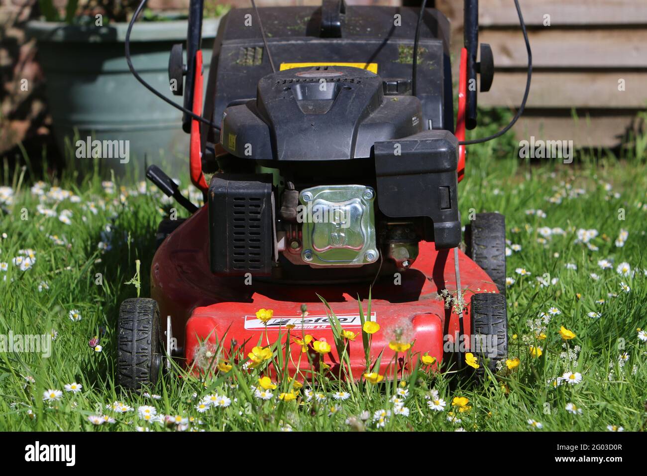 Regno Unito Meteo: Brandsby North Yorkshire, Regno Unito, 31 maggio 2021. No Mow maggio nei giardini intorno al Regno Unito come parte della campagna sul clima. Credit: Matt Pennington/Alamy Live News Foto Stock