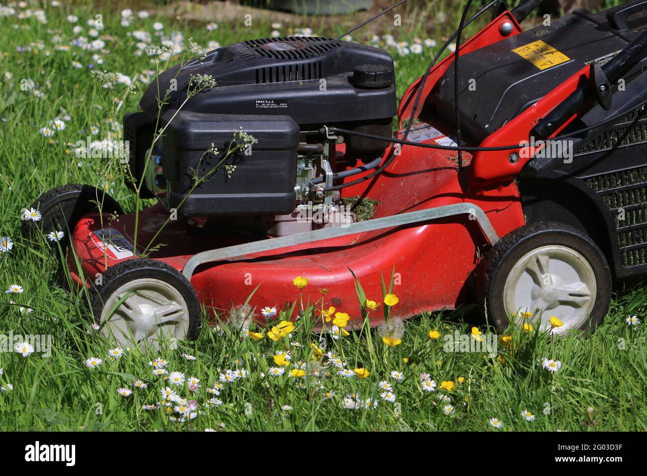 Regno Unito Meteo: Brandsby North Yorkshire, Regno Unito, 31 maggio 2021. No Mow maggio nei giardini intorno al Regno Unito come parte della campagna sul clima. Credit: Matt Pennington/Alamy Live News Foto Stock