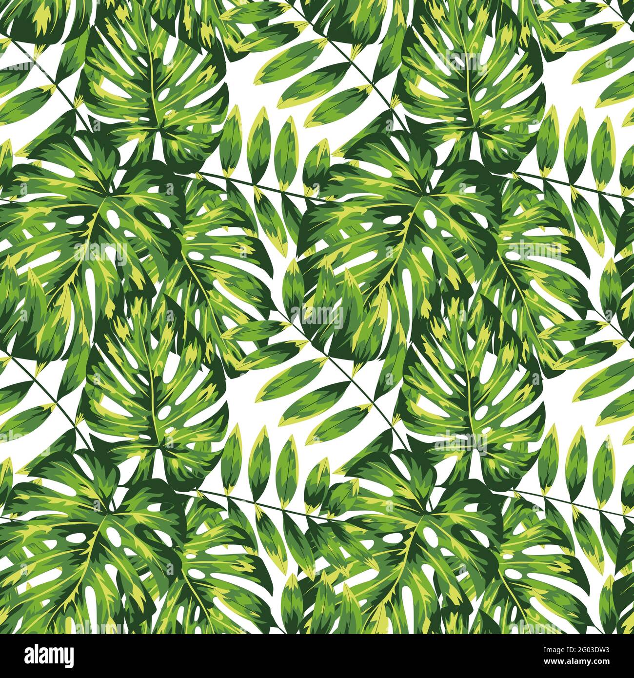 Bel modello di foglie tropicali, grande design per tutti gli scopi. Stile vettoriale alla moda. Foglia verde tropicale estiva su sfondo bianco. Foglie di palma. Illustrazione Vettoriale