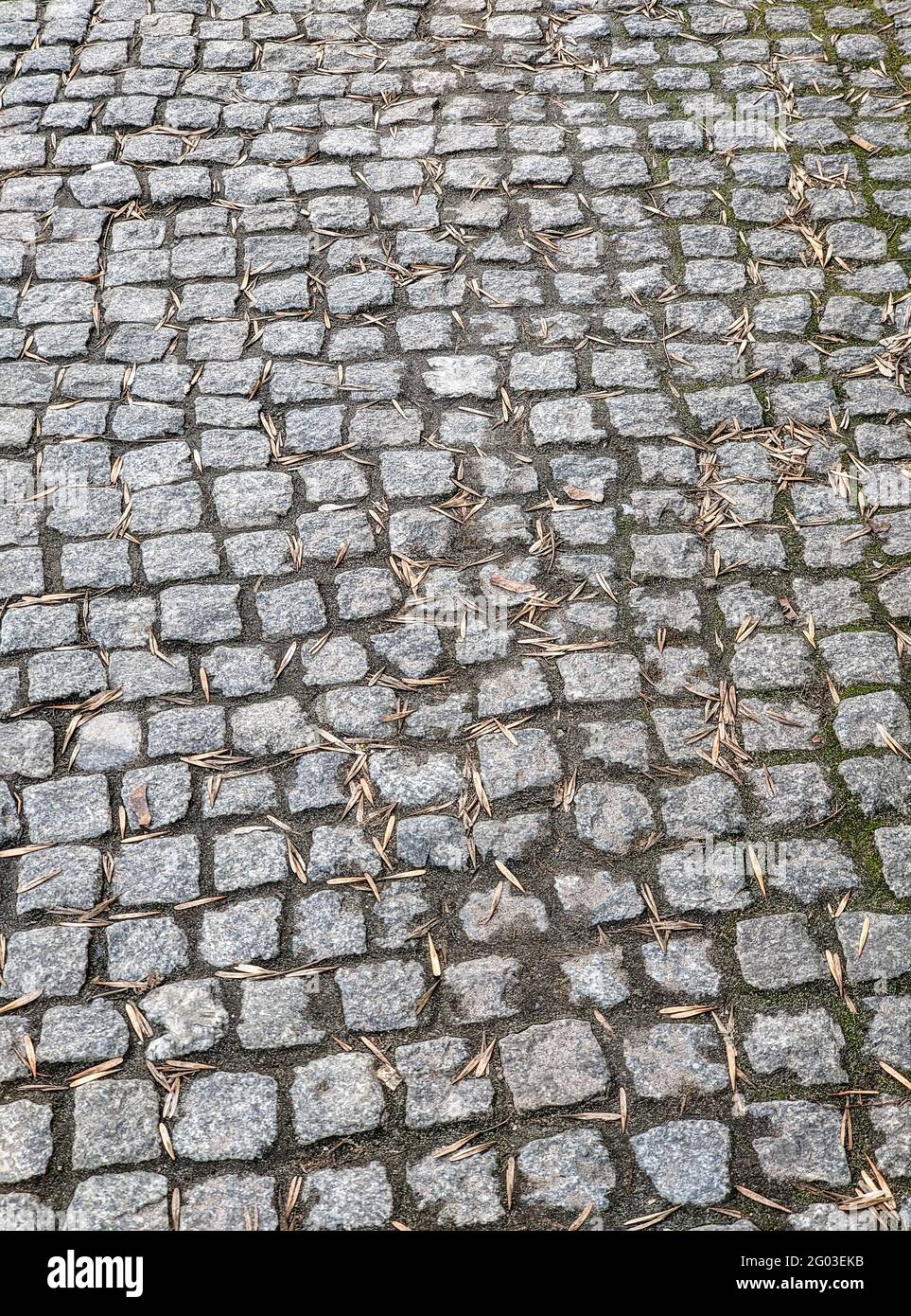 Sfondo delle piastrelle del marciapiede ricoperte di foglie secche Foto Stock