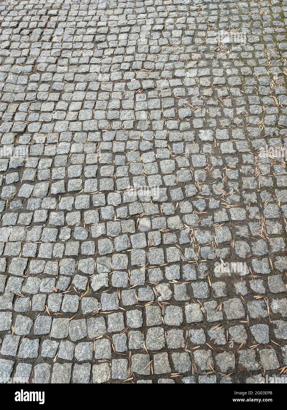 Sfondo delle piastrelle del marciapiede ricoperte di foglie secche Foto Stock