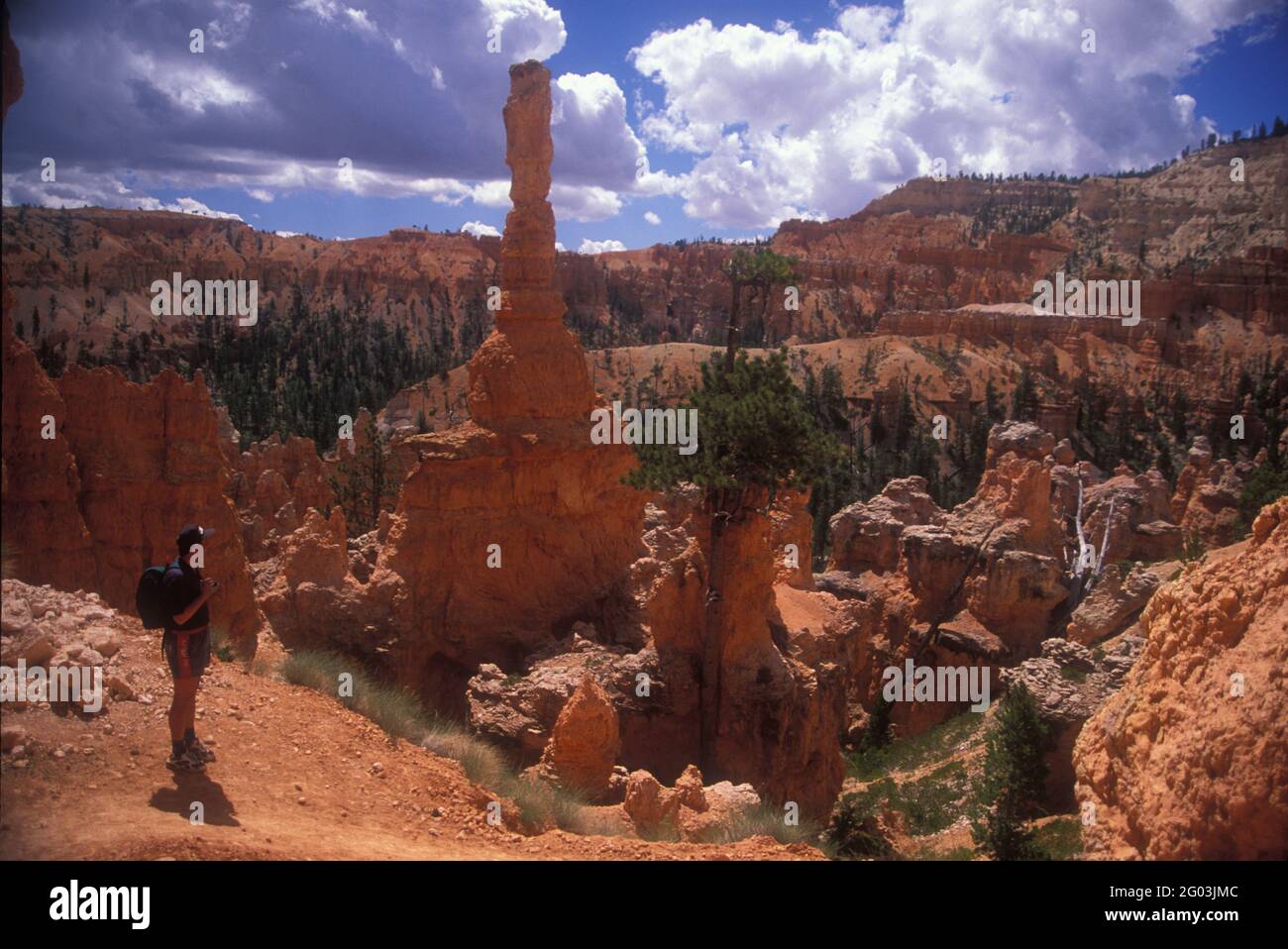 Bryce Canyon, Utah Foto Stock